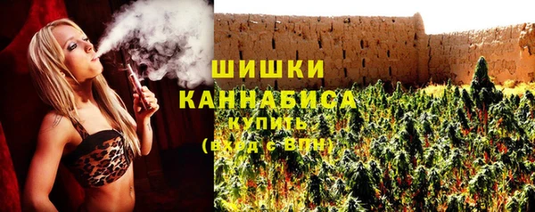 хмурый Аркадак