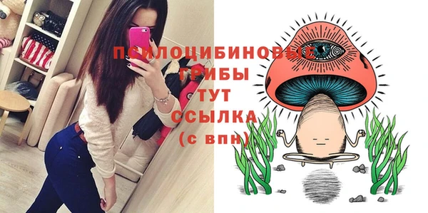a pvp Алексеевка