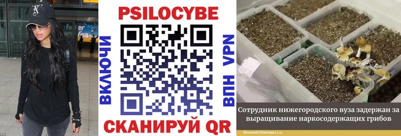 это наркотические препараты  Байкальск  Псилоцибиновые грибы GOLDEN TEACHER  hydra ССЫЛКА 